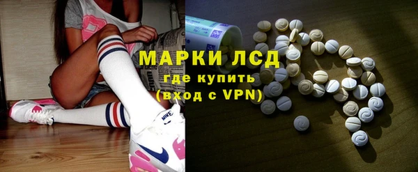 спиды Вяземский