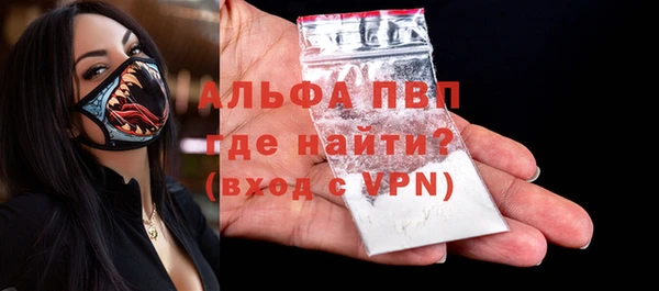 спиды Вяземский