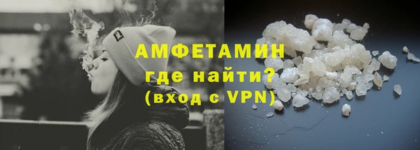 спиды Вяземский