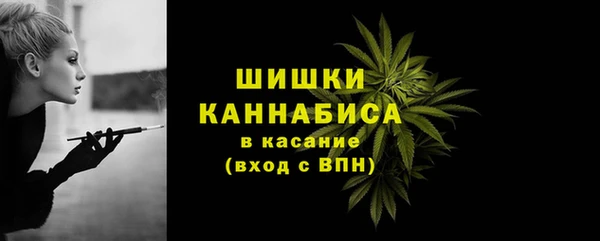 спиды Вяземский