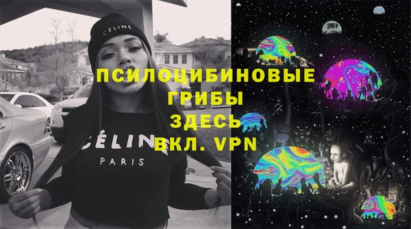спиды Вяземский