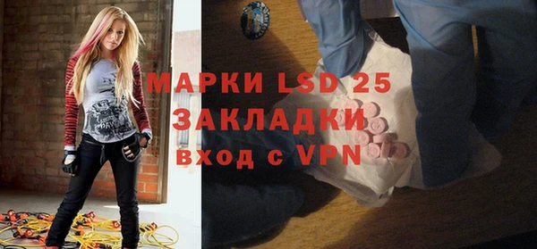 спиды Вяземский