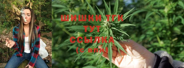 спиды Вяземский