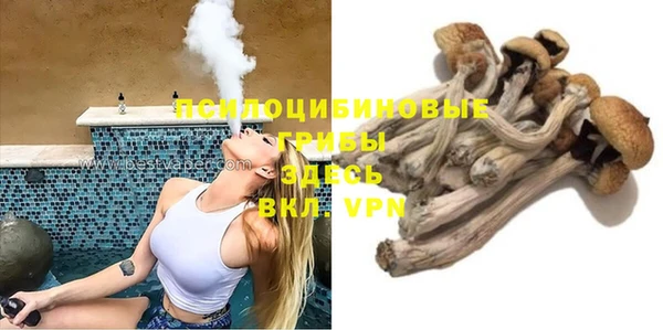 мдпв Вязьма