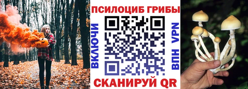 Галлюциногенные грибы Psilocybine cubensis  Мариинск 